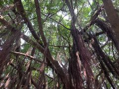 -胡里山炮台