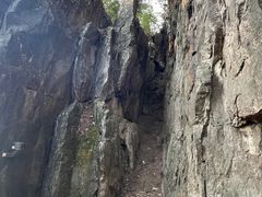 -南山植物园