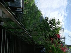 -岳西天峡风景区