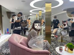 -3AM HAIR SALON烫发染发接发