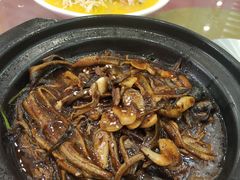 软兜-八张桌子(老店)