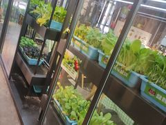 -番食园鲜食火锅(高新店)