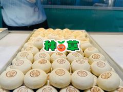 -好一朵茉莉花(老门东店)