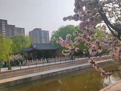 -元大都城垣遗址公园