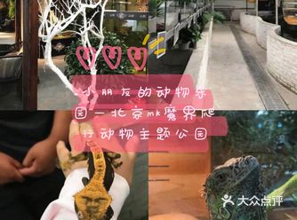 小朋友的动物乐园—北京mk魔鬼爬行动物园