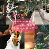 小朋友的动物乐园—北京mk魔鬼爬行动物园