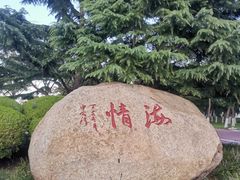 -幸福门