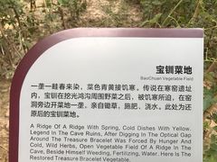 -西安曲江寒窑遗址公园