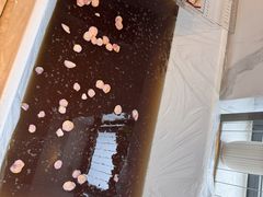 -鹿栖·精油SPA(龙岗爱联店)