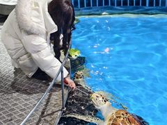 -泉城欧乐堡海洋极地世界