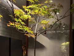 -王府茶楼茶宴·创意菜(朝阳公园店)