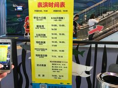 -芜湖新华联大白鲸海洋公园