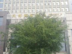 -印象高密·凤都国际大酒店