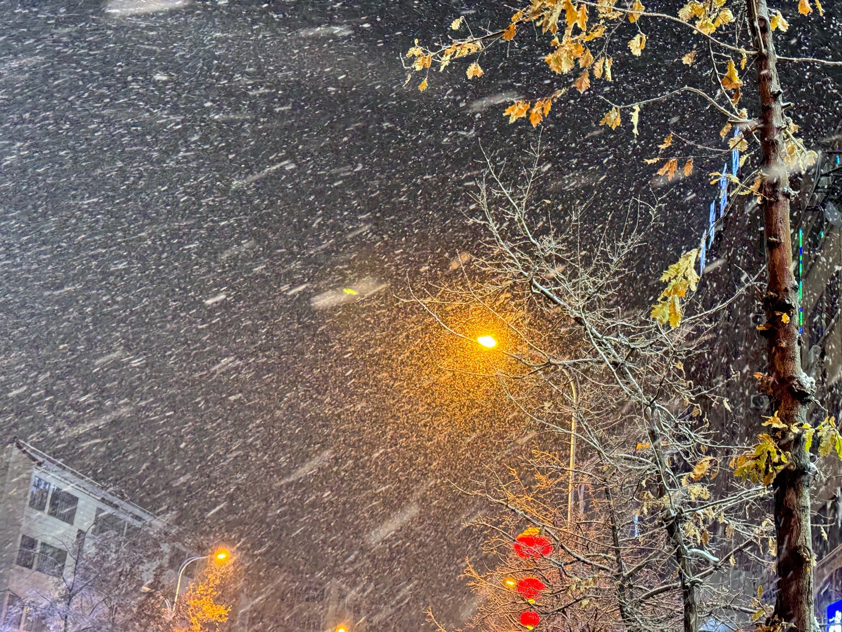 看,雪花飘落的足迹