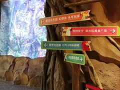 -杭州开元森泊度假乐园