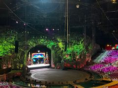 -广州长隆国际大马戏