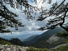-朱雀国家森林公园