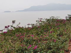 -渔寮风景区