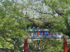 -北京国子监胡同
