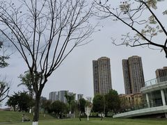 -府河摄影公园