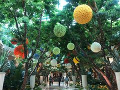 -拉斯维加斯永利酒店