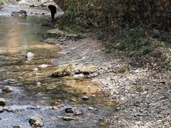 -聚缘坊特色名小吃(天元西街店)