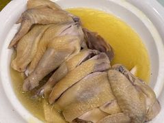 三十九年氧吧鸡-鹭园酒家·四十年老字号