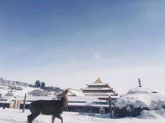 -达仓郎木寺院