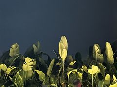 -珠海市博物馆