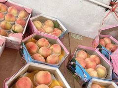 -南汇水蜜桃采摘(大团店)