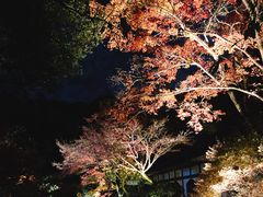 -醍醐寺