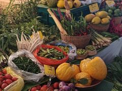 -一坐一忘云南菜(卓悦中心)