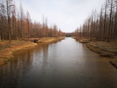 -黄海国家森林公园