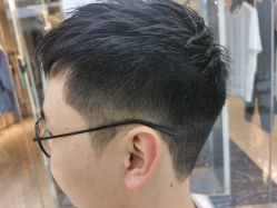 点击看大图 -金棕榈