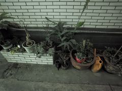 -华兴街煎蛋面(总店)