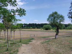 -月河湾马术俱乐部(朝阳店)