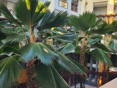 -三亚海棠湾万丽度假酒店