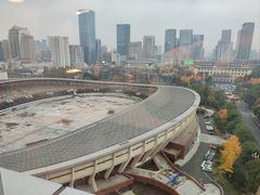 -成都天府丽都喜来登饭店