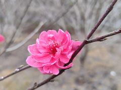 -南宁花花大世界景区