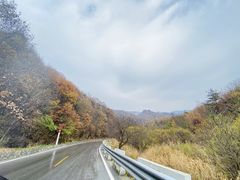 -秦岭风景区