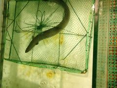 -北海银滩一号国际会议中心酒店