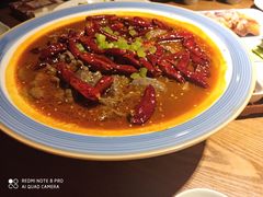 -船歌·鱼水饺青岛菜(闽江二路店)