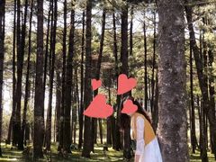 -石棉县孟获城