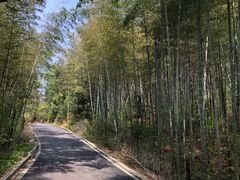 -冶父山国家森林公园