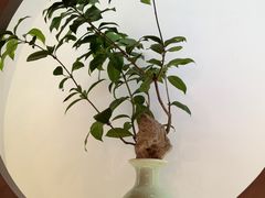 -本处·素食·融合料理(南油店)
