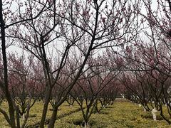 -诺贝尔湖公园