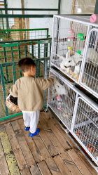 -小蜜蜂农场(凯德七宝购物广场店)