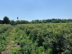 -金谷域澳洲庄园