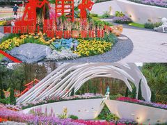 -广州市白云山风景名胜区