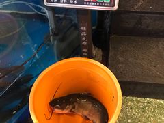 -粗粮人家·东北菜(洋桥店)